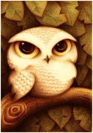 owl